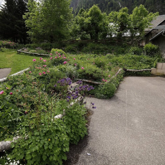 Massifs de pivoines et d'ancolies bordés de troncs, au cœur du hameau