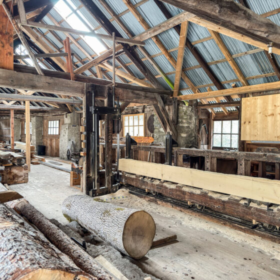La scie battante et sa charpente de bois à l'intérieur de la scierie