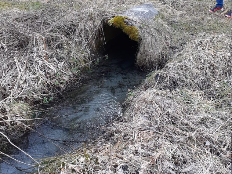 Canal dans le Plat de la Chapelle