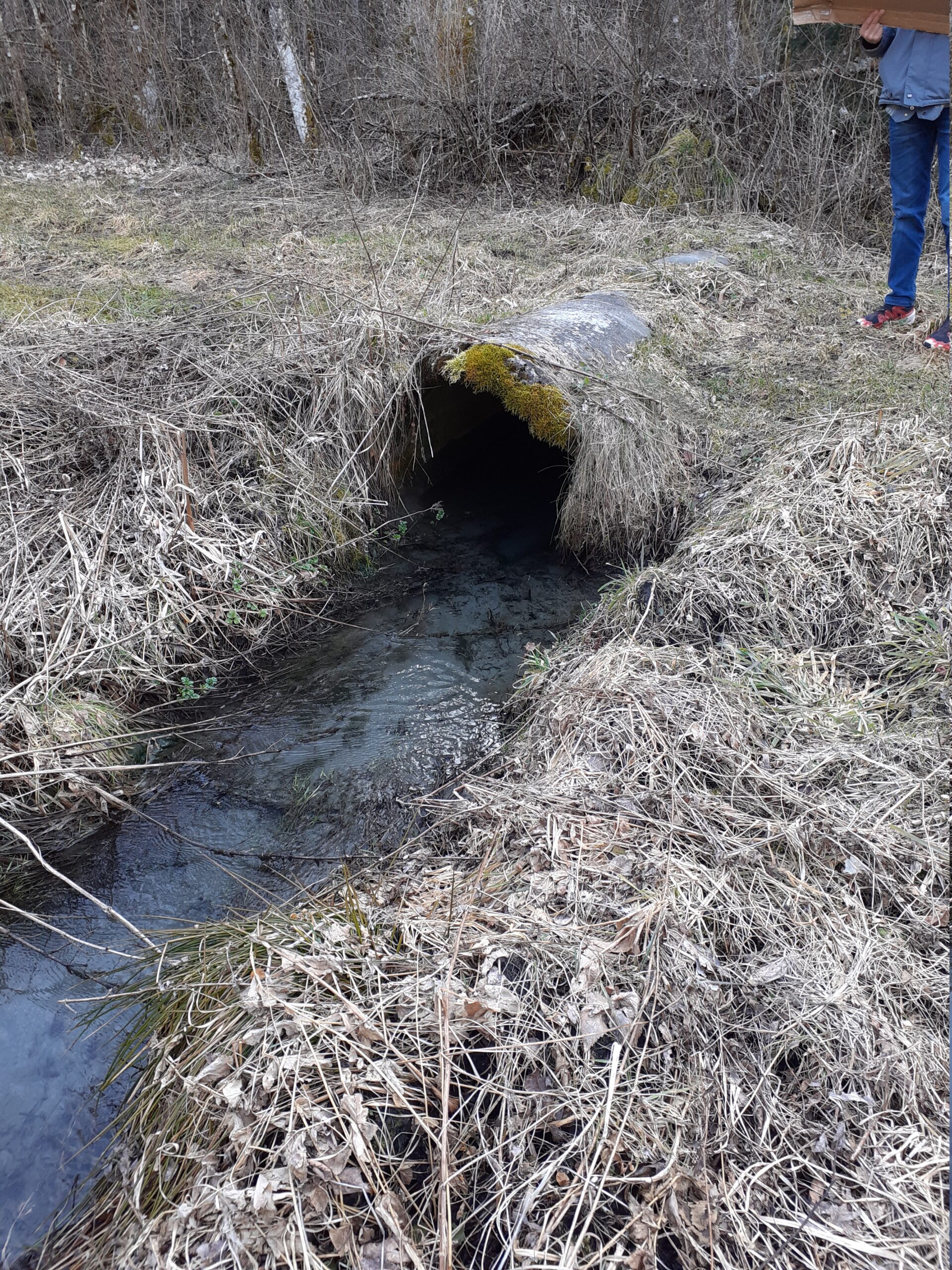 Canal dans le Plat de la Chapelle