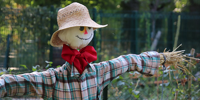 Épouvantail au chapeau de paille et au nœud papillon rouge, dressé dans un jardin