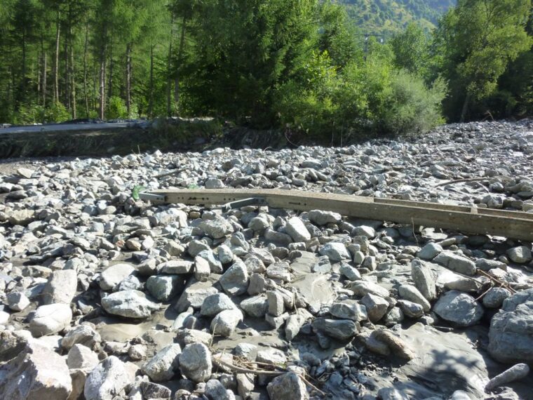 Le lit de la Laisse comblé de galets et de blocs sur toute sa largeur, entre les mélèzes