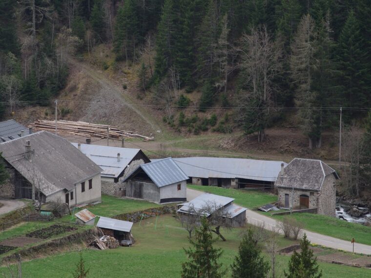 Vue générale du site des Ségoins : la scierie, la micro-centrale et le torrent de la Bonne