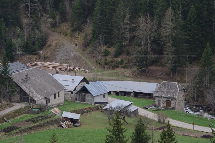 Vue générale du site des Ségoins : la scierie, la micro-centrale et le torrent de la Bonne