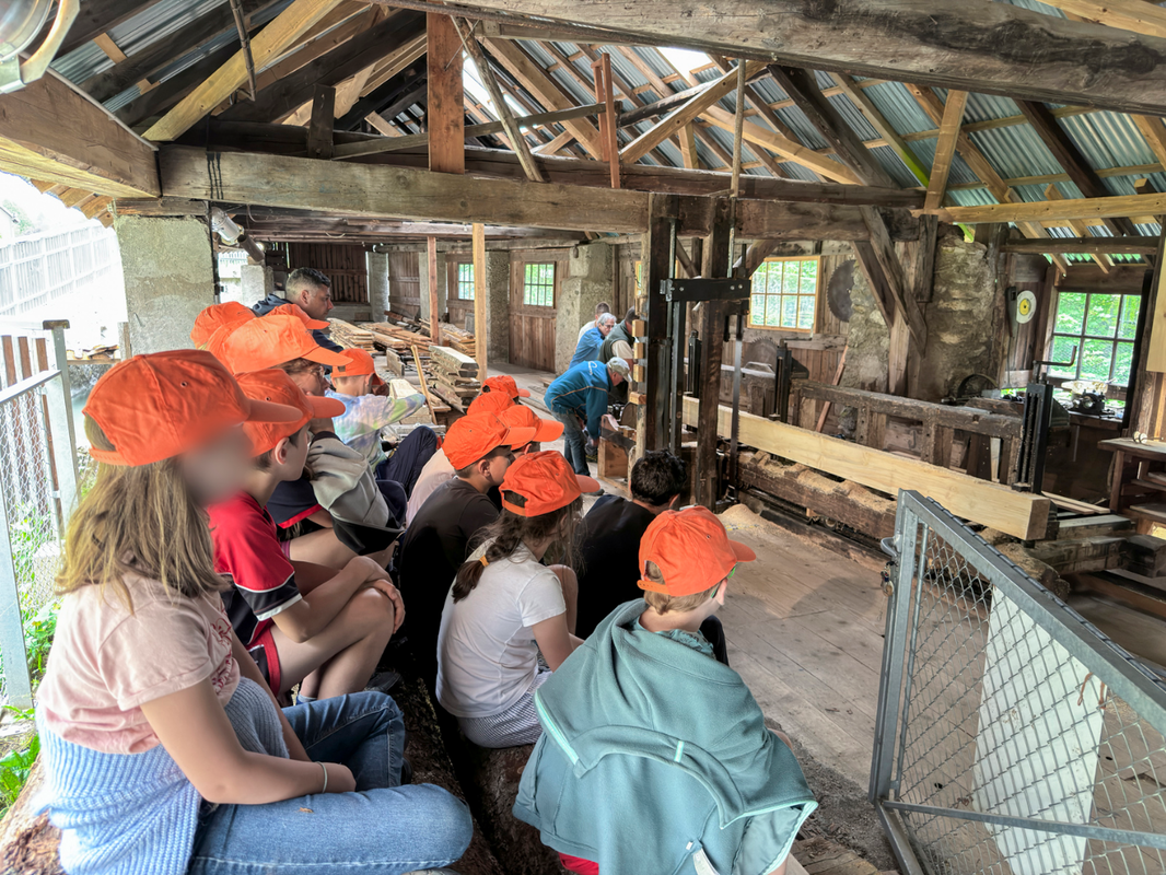 Élèves en casquette orange assis dans la halle de sciage, face à la scie battante