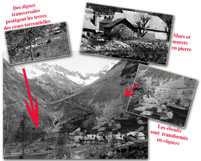 Montage de photographies annotées de Valsenestre : les digues transversales qui protègent les terres des crues torrentielles, les murs et murets en pierre, les éboulis transformés en clapiers