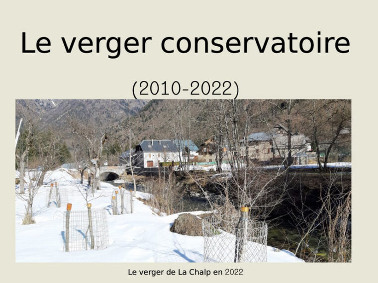 Planche de la présentation des vergers conservatoires du Valjouffrey, 2022