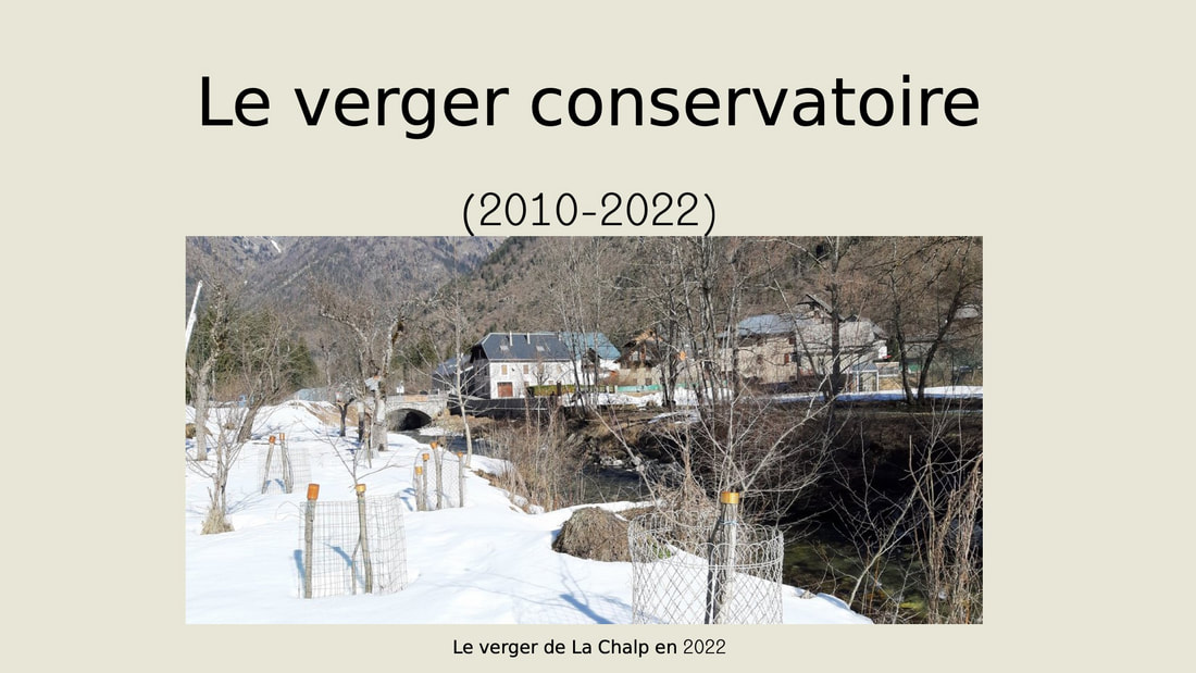 Planche de la présentation des vergers conservatoires du Valjouffrey, 2022